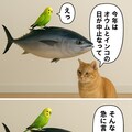 いぬとねこといんこ(オウムインコの日) 5枚目