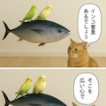 いぬとねこといんこ(オウムインコの日) 3枚目