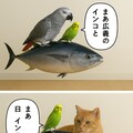 いぬとねこといんこ(オウムインコの日) 4枚目