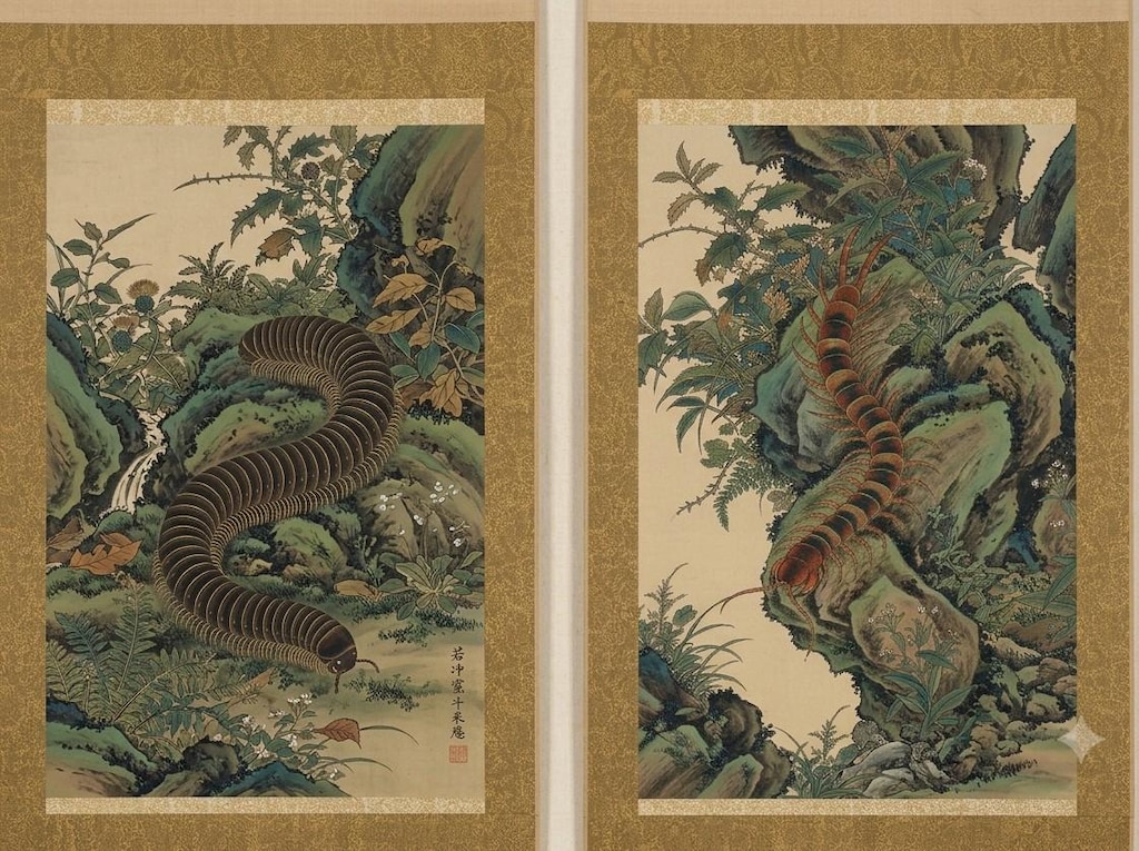 伊藤若冲風絵図　ヤスデとムカデ