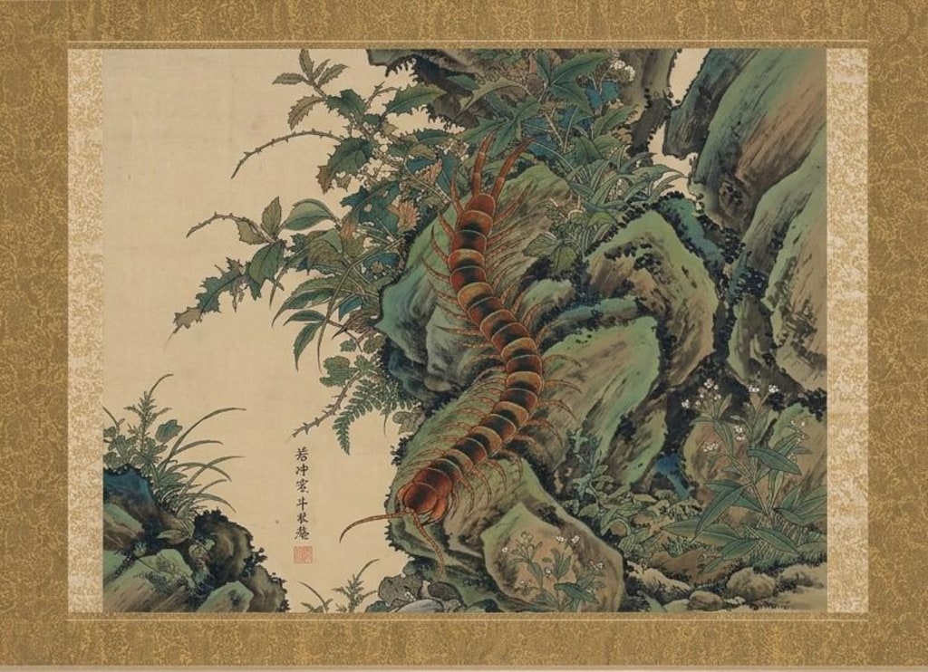 伊藤若冲風絵図　ヤスデとムカデ