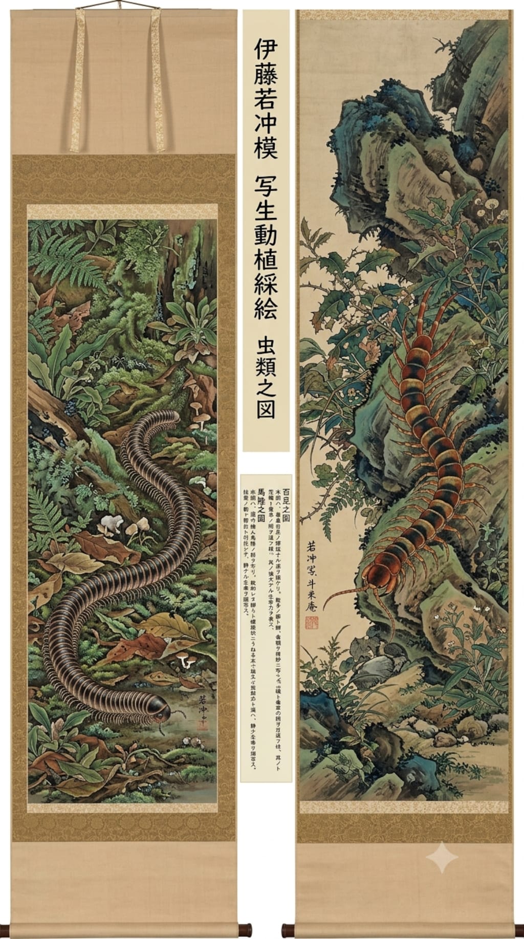 伊藤若冲風絵図　ヤスデとムカデ