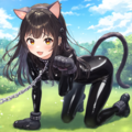 黒猫 4枚目