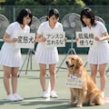 変態犬、熟女に怒られる（5000いいね！ありがとうございます。） 2枚目