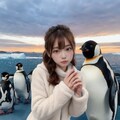 ペンギン大好きっ娘ちゃん 12枚目