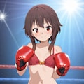 女子ボクサーめぐみん 10枚目