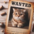 猫の手配書 3枚目