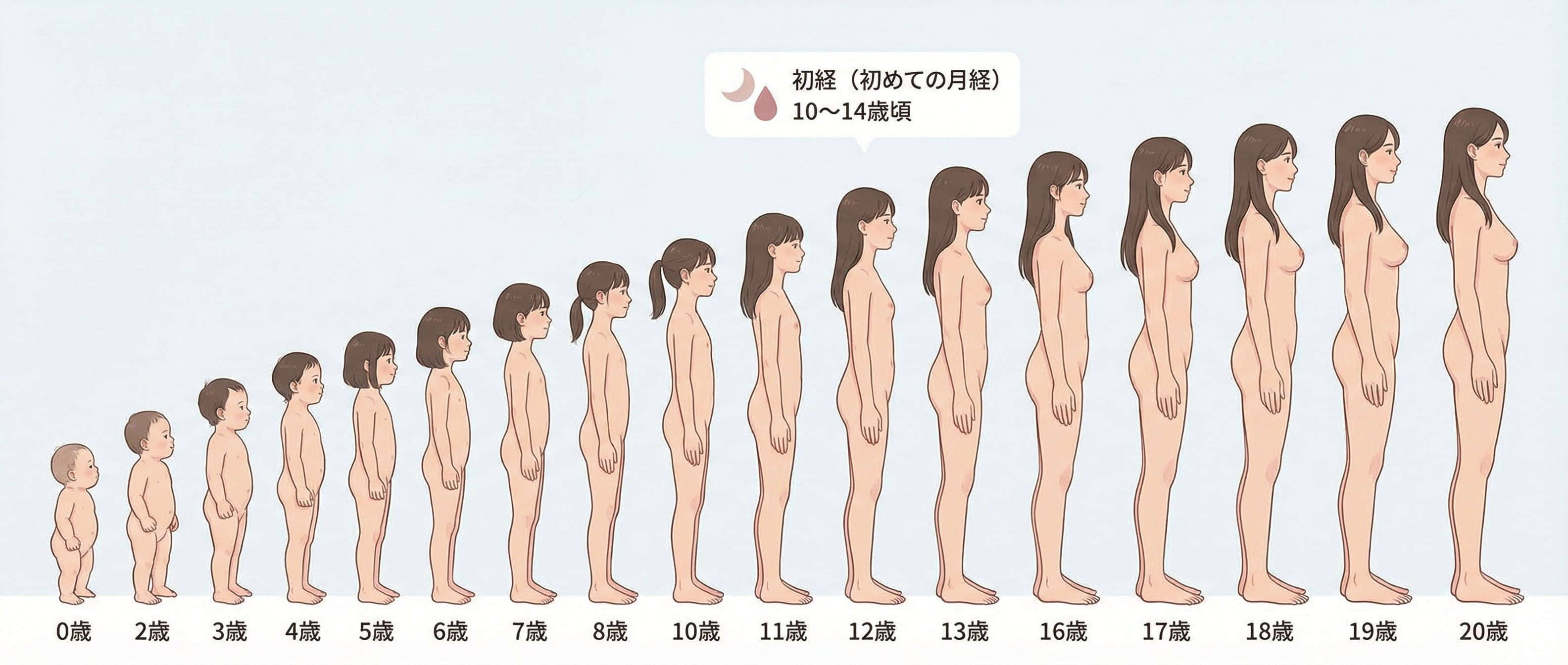 保健体育のあの図