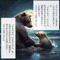 海辺のクマ 11枚目