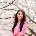 sakura 3枚目