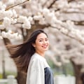 sakura 2枚目