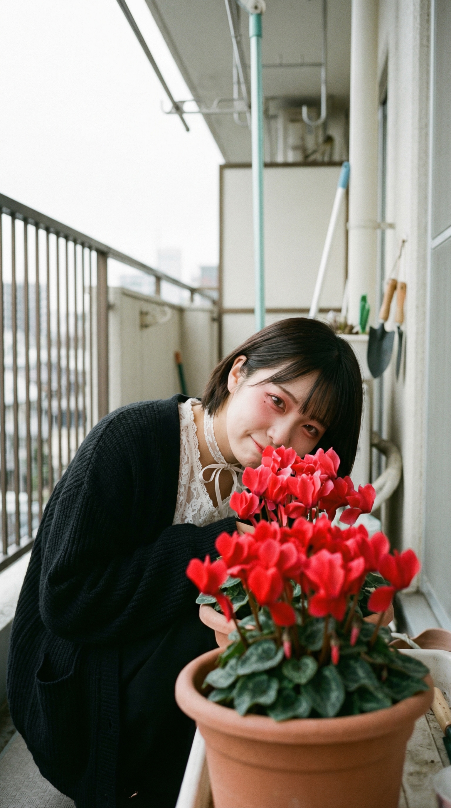 Crimson Whisper | の人気AIイラスト・グラビア