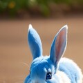 青い目のうさぎ 5枚目