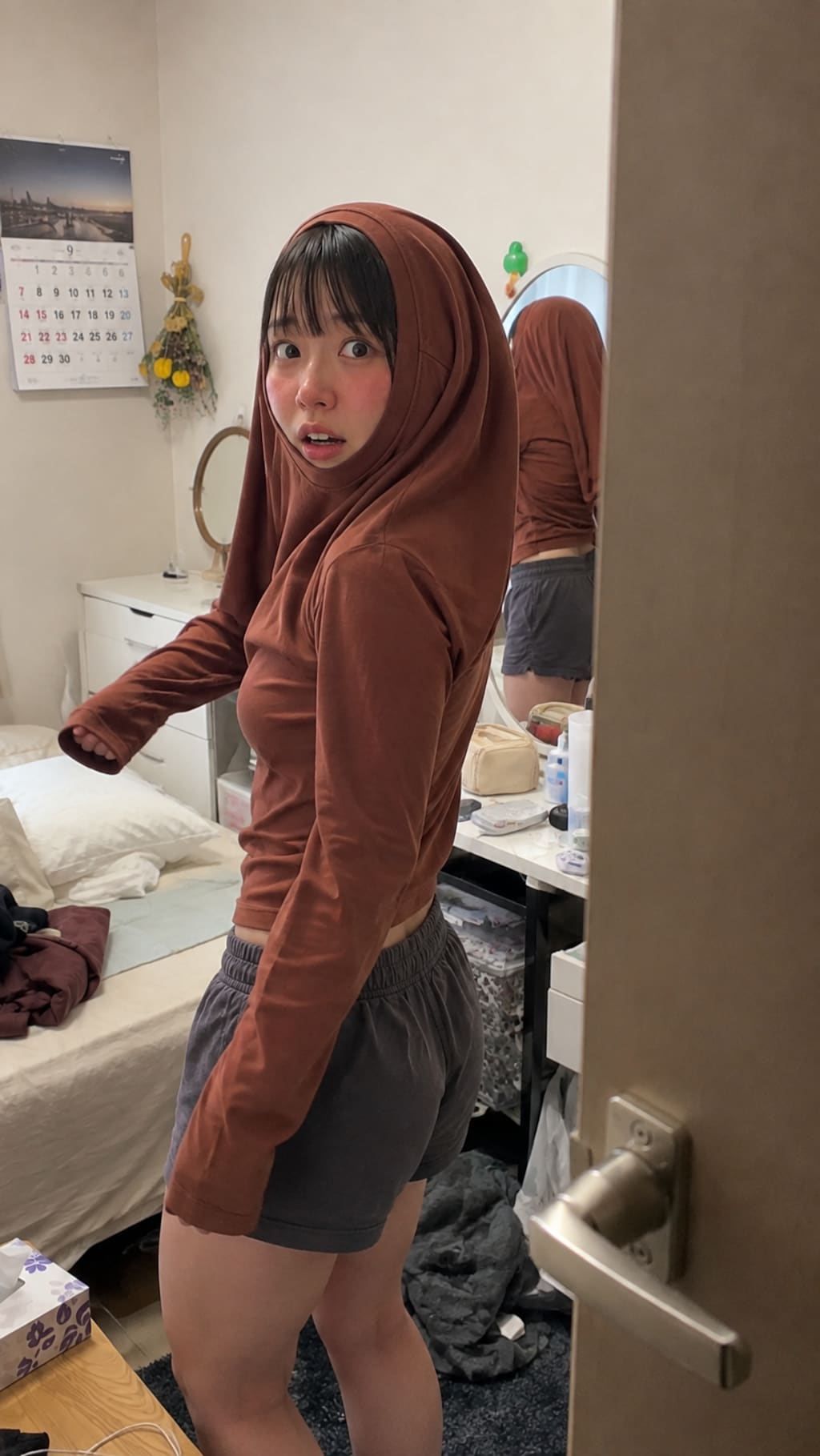 A Small Domestic Mystery
