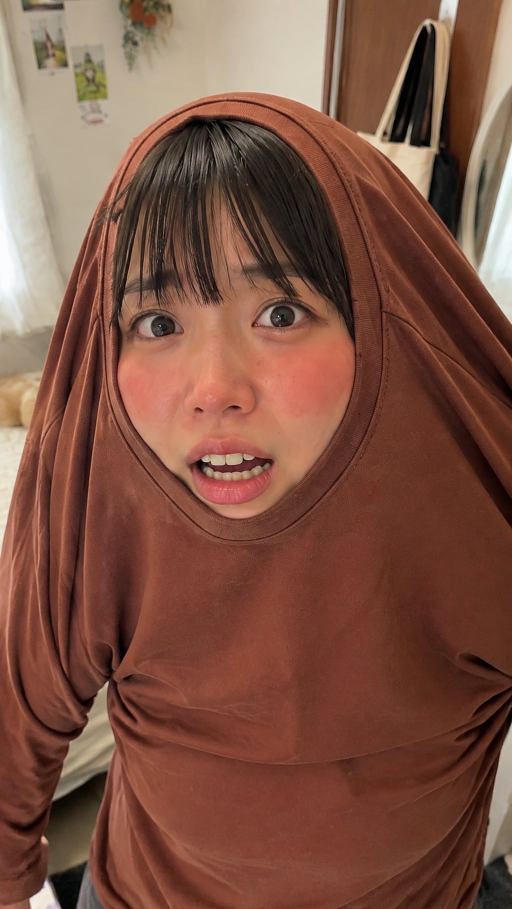 A Small Domestic Mystery