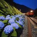 紫陽花列車 2枚目