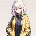マウンテンパーカー 2枚目