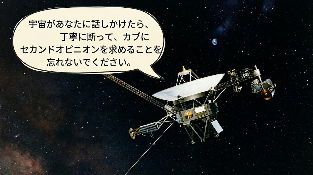 アドバイスのボツ画像