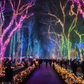 今夜からイルミネーション始まったよ！　Illuminations started tonight! 2枚目