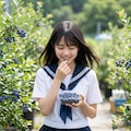 普通の美少女　ブルーベリー狩り 2枚目