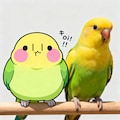 喋るインコと実写インコ 5枚目