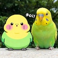 喋るインコと実写インコ 11枚目