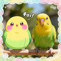 喋るインコと実写インコ 12枚目