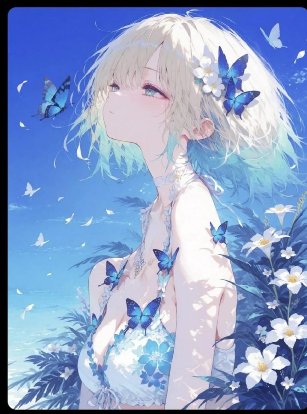 ×××××××××××××××××××