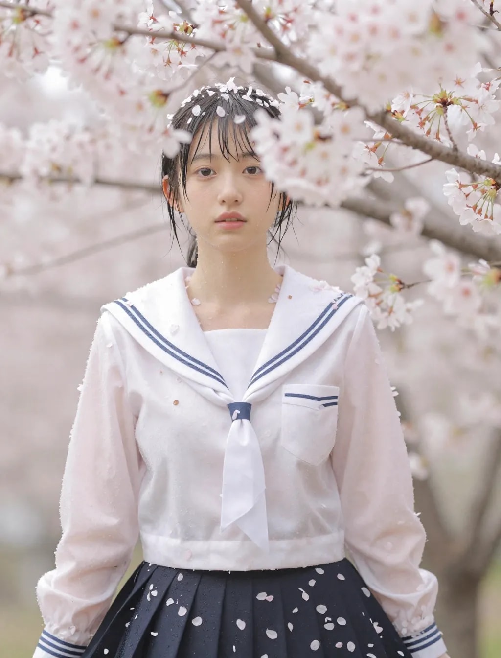 季節外れの桜まみれ＆セーラー服