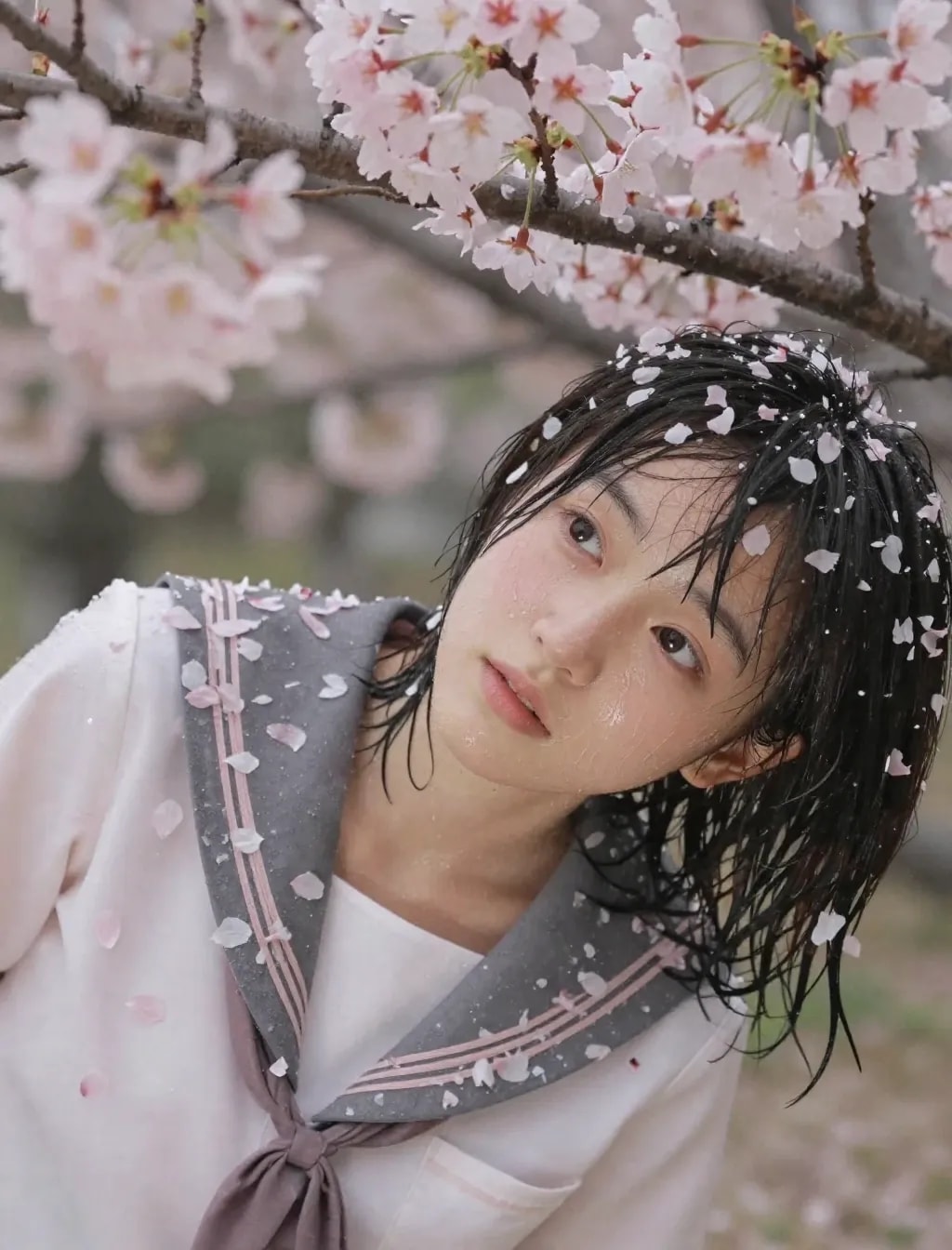 季節外れの桜まみれ＆セーラー服