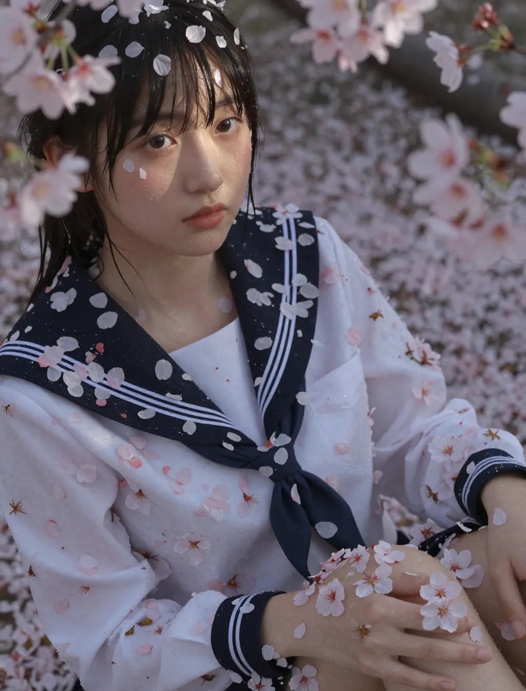 季節外れの桜まみれ＆セーラー服