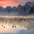 Chickens or ducks above the cloud 6枚目