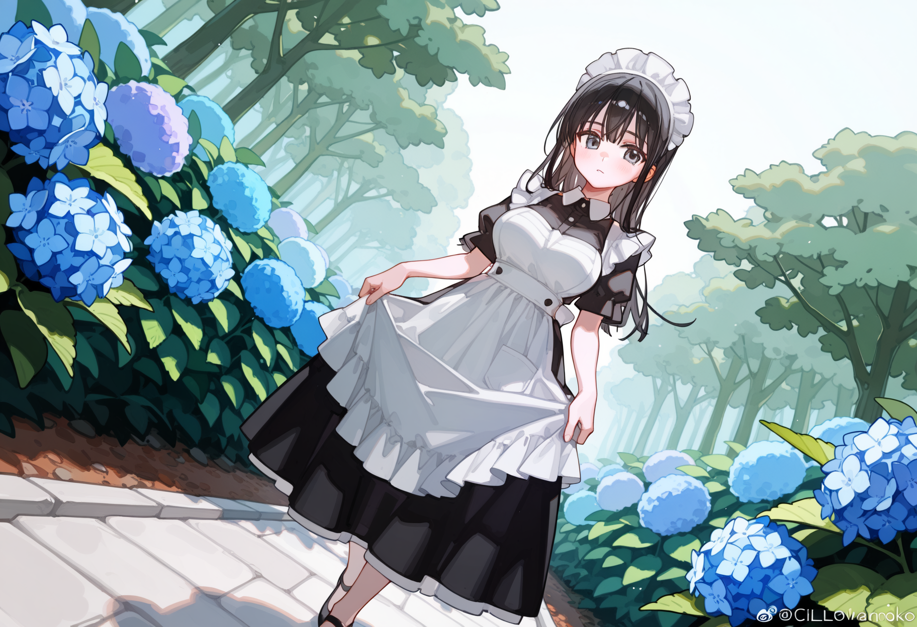 紫陽花