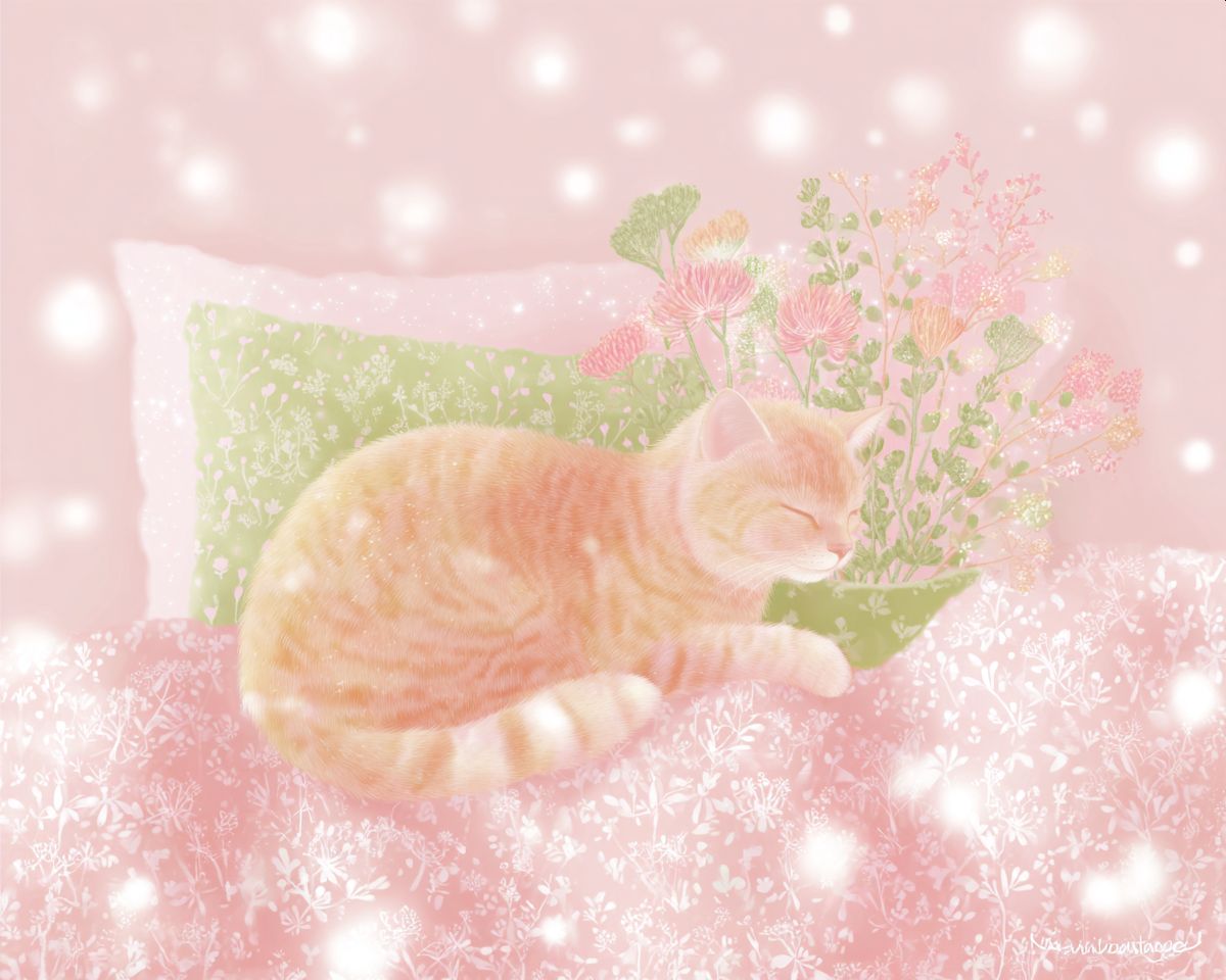 猫の春眠