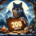 ２００日目ウルフ 12枚目