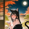 月夜の宴 2枚目