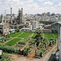 アルラウネ工業地帯 9枚目