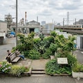 アルラウネ工業地帯 10枚目