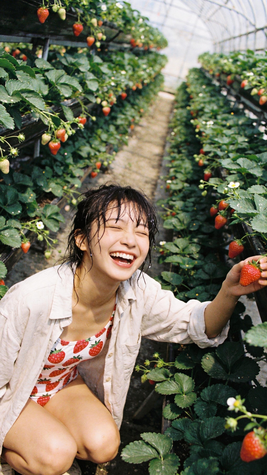 Harvest of Joy