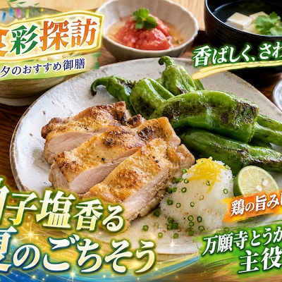 本日のランチ | の人気AIイラスト・グラビア