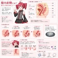 だいたい正しいけど間違っている 2枚目