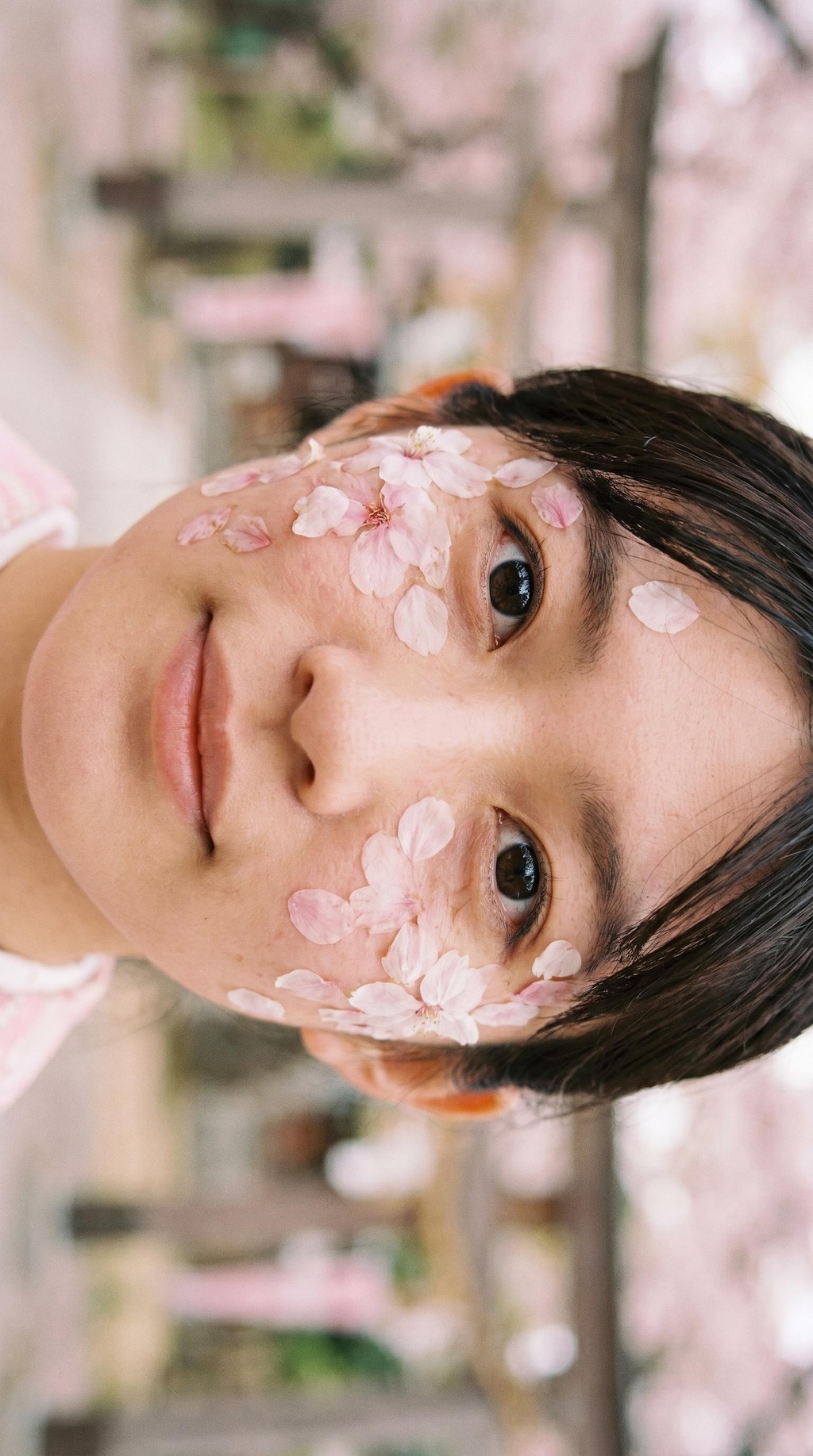 Petals in Motion, Time at Rest