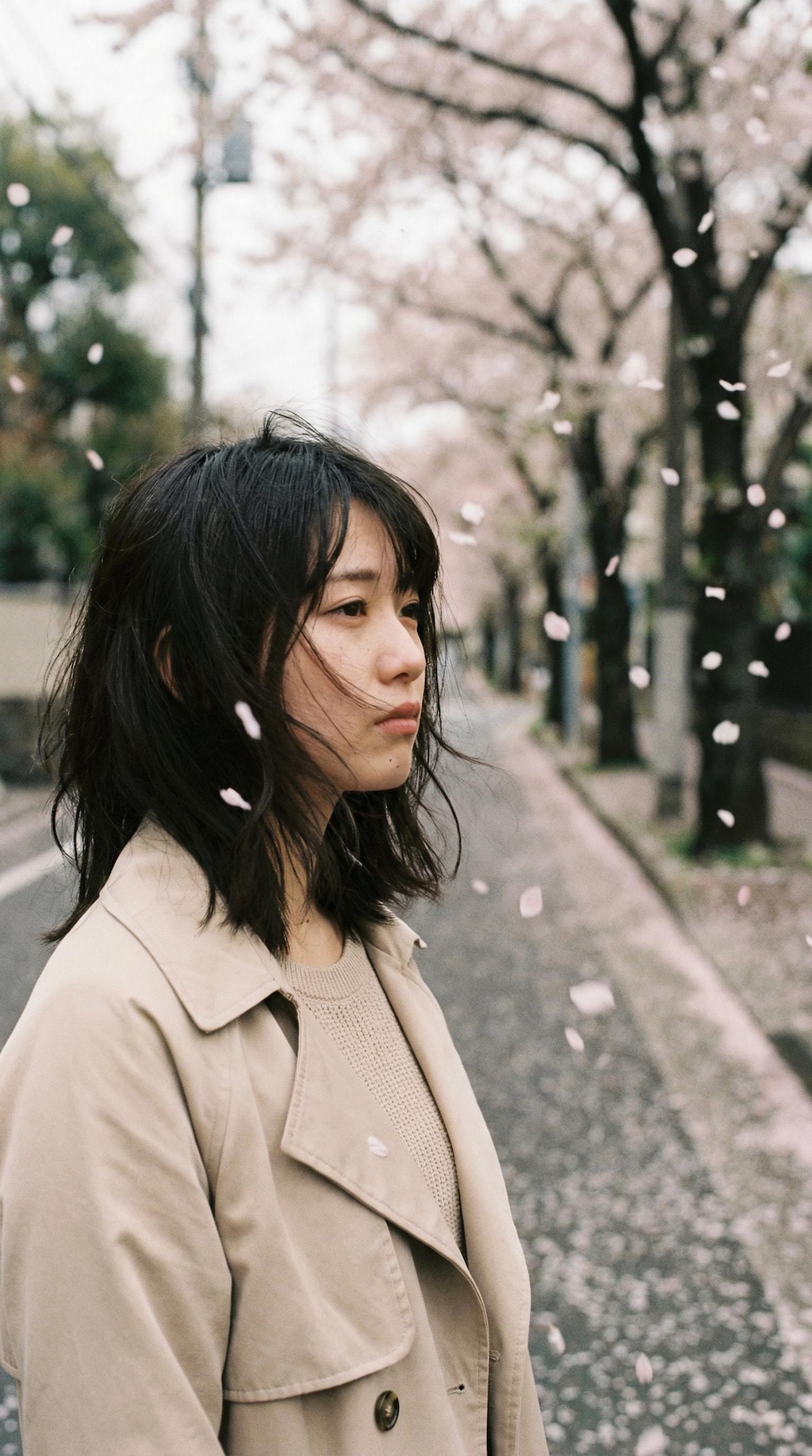 Shower of Ephemeral Blooms