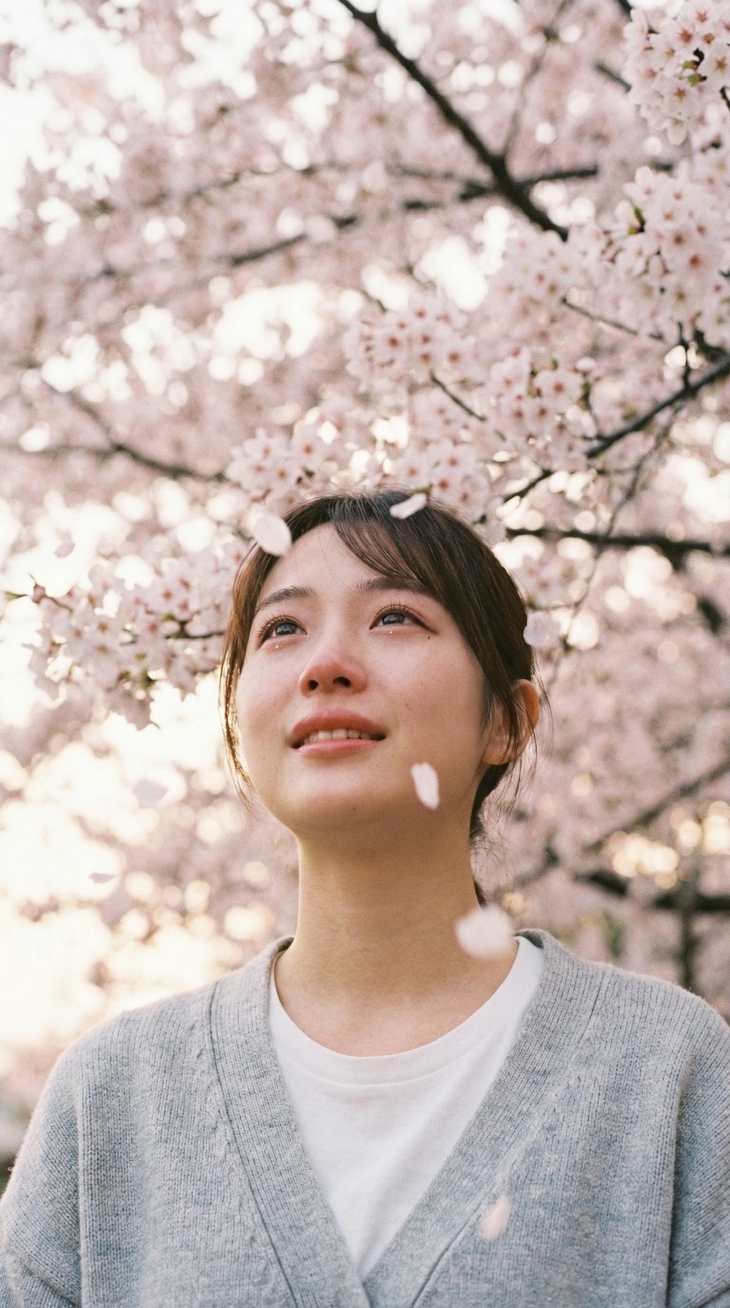 Shower of Ephemeral Blooms