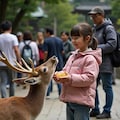 少女と動物(8枚) 8枚目