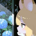 あじさい 2枚目
