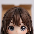 箱入り娘フィギュア 4枚目