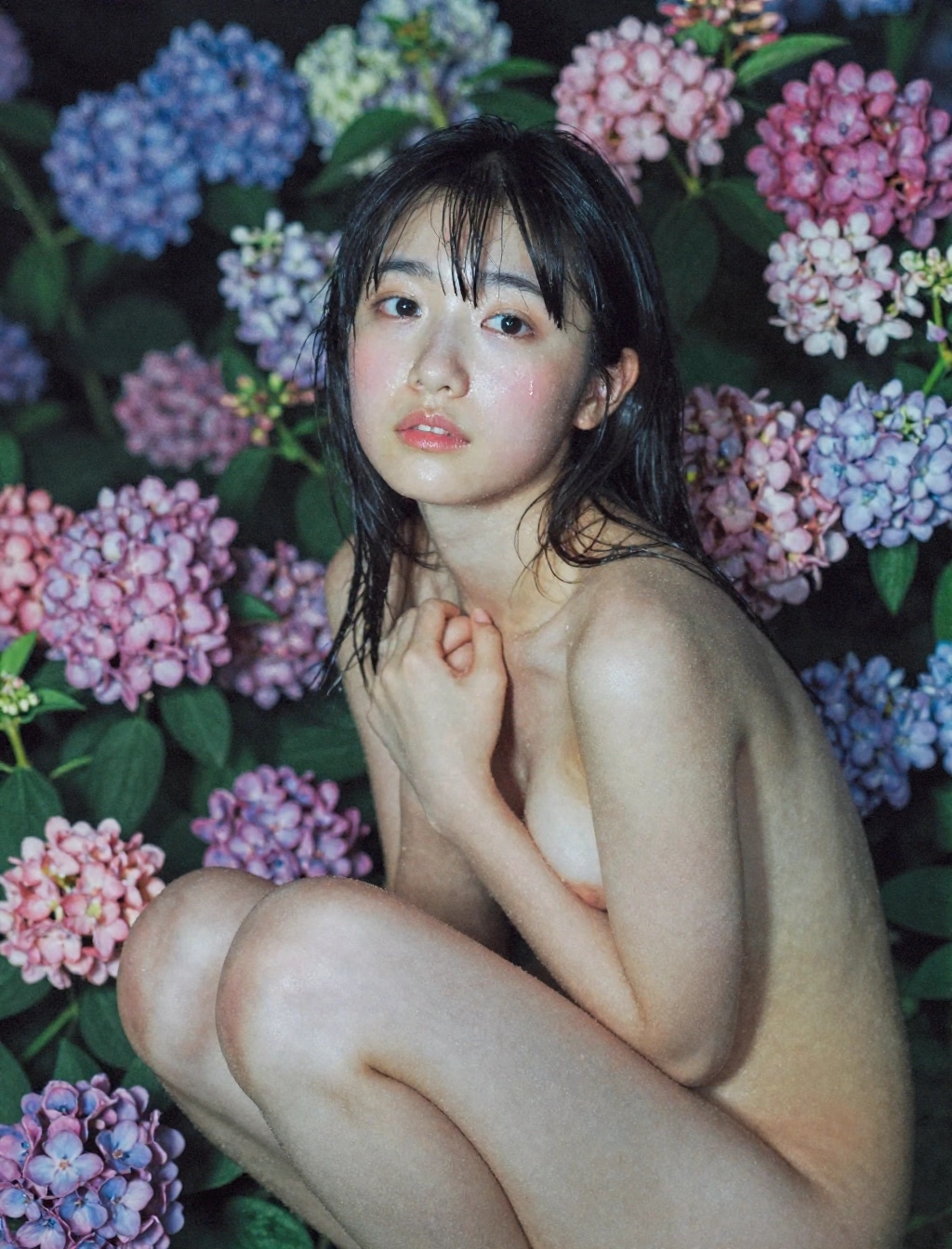 あじさいっ娘