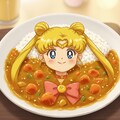 セーラー戦士カレー 9枚目