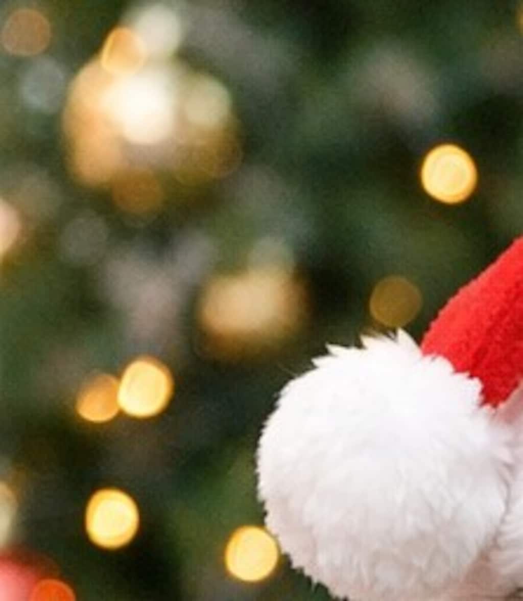 🎅仲良しクリスマス🎄